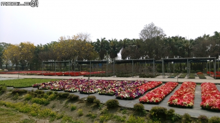 彰化溪州(費茲洛)花園散步遊