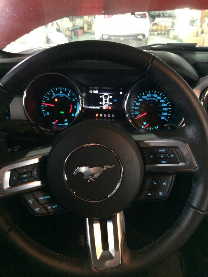 2015 Ford Mustang 預開箱