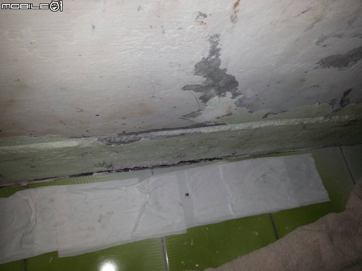 [求解]浴室旁房間牆壁 嚴重壁癌 牆角滲水 如何處理
