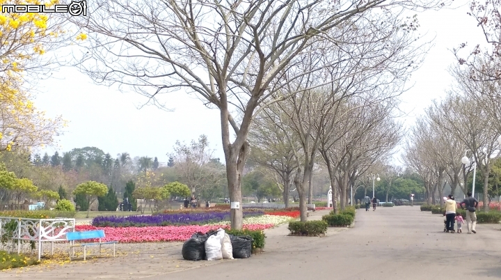 彰化溪州(費茲洛)花園散步遊