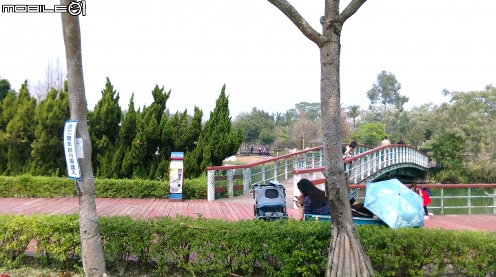 彰化溪州(費茲洛)花園散步遊