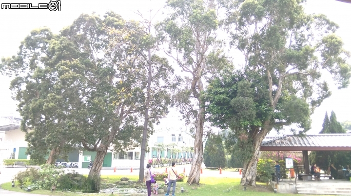 桃園南僑點水樓散步遊