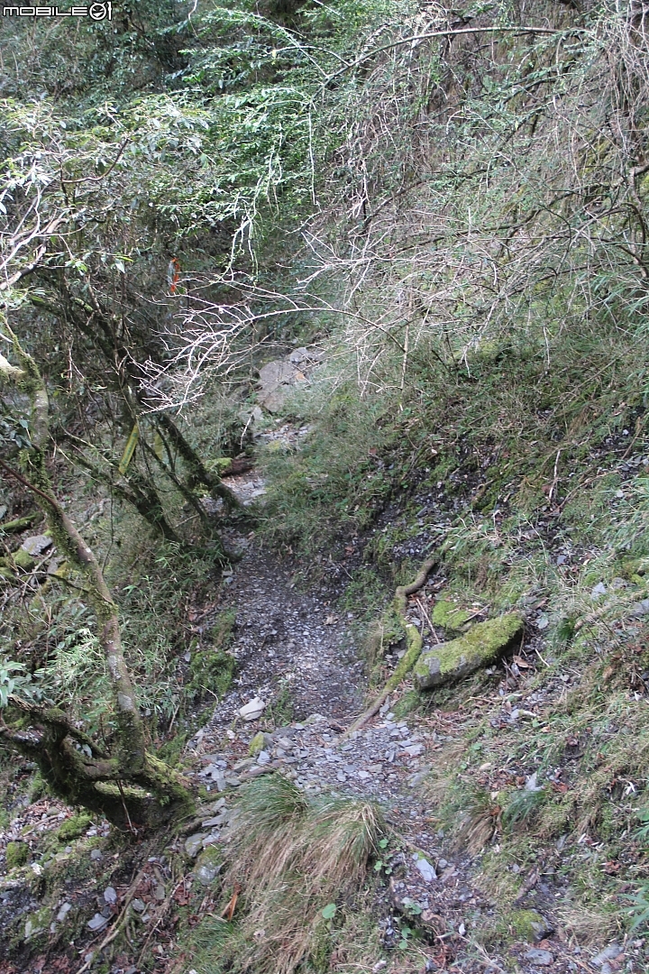 2015.03.14-屏風山(麻辣天王)天氣優(開啟2015封印)