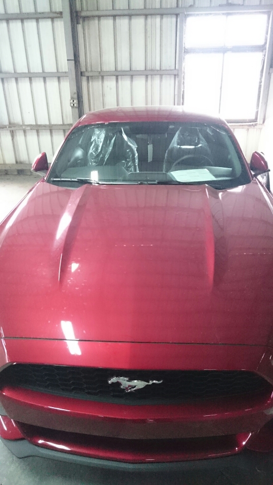 2015 Ford Mustang 預開箱