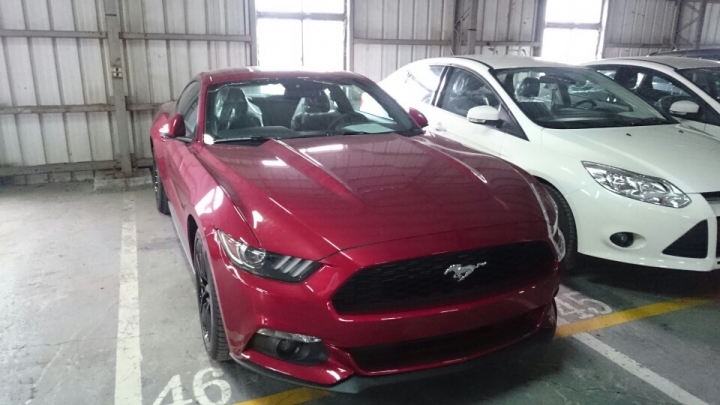 2015 Ford Mustang 預開箱