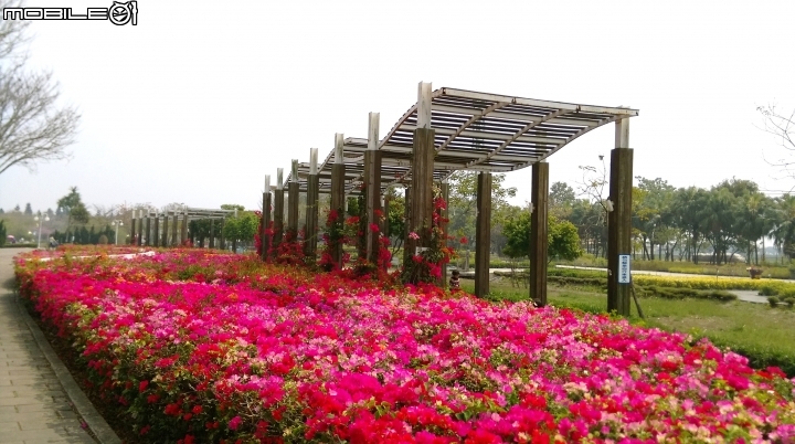 彰化溪州(費茲洛)花園散步遊