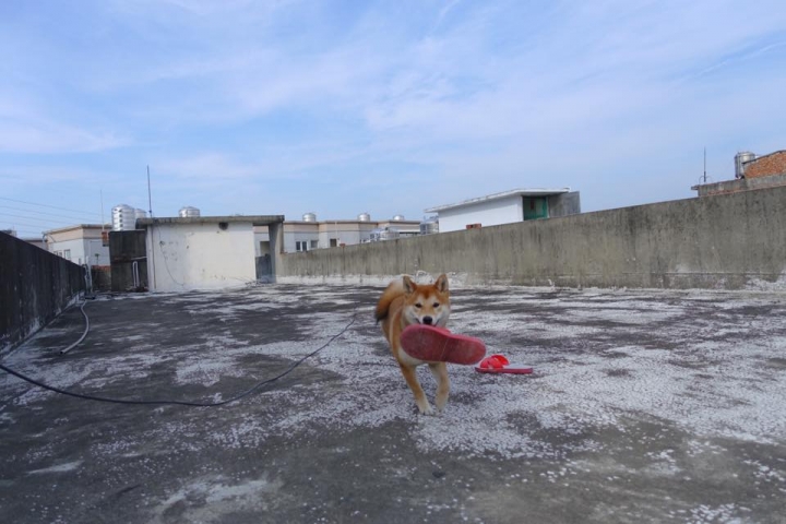 sony rx100m3 試機照