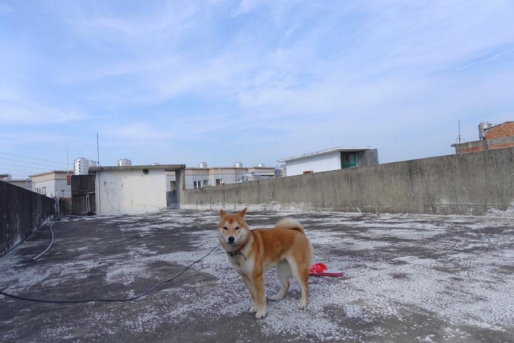 sony rx100m3 試機照