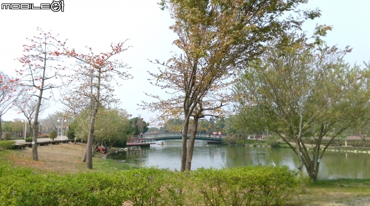 彰化溪州(費茲洛)花園散步遊