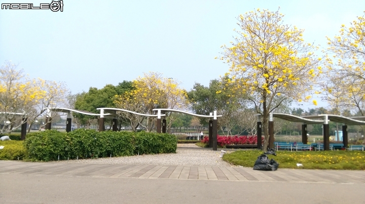 彰化溪州(費茲洛)花園散步遊