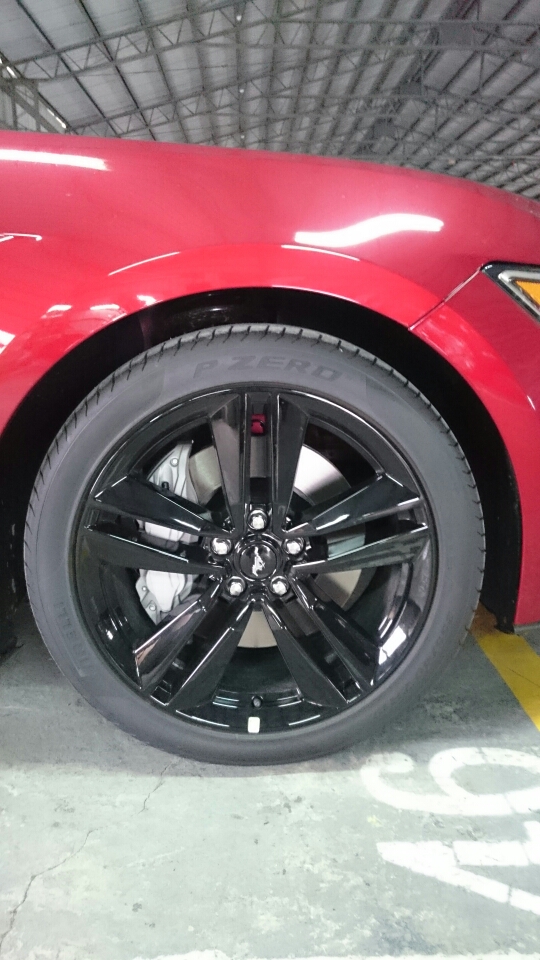 2015 Ford Mustang 預開箱