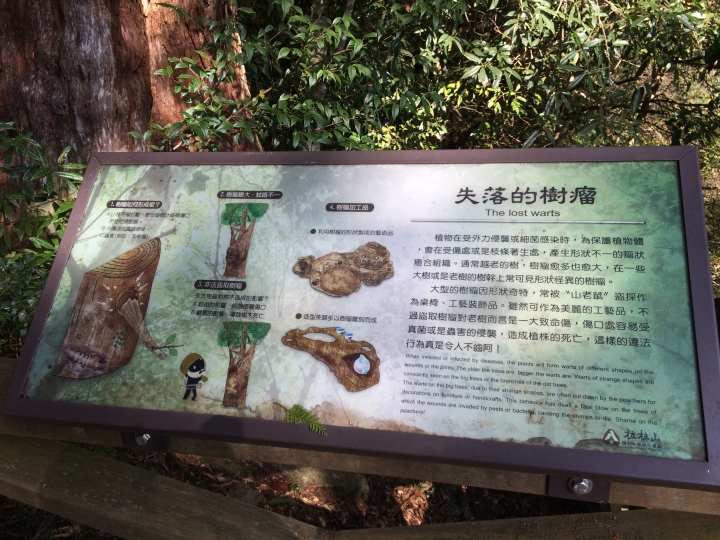 2015/03/29 桃園市大溪區內山公路 至 復興區北部橫貫公路 一日遊 二輪遊記