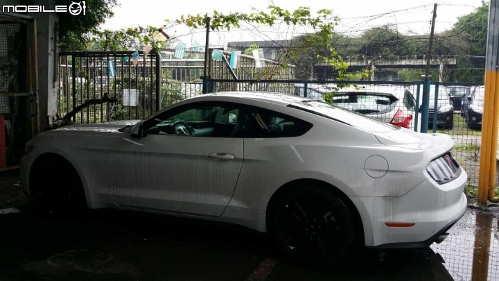 馬上要交車了2015 Mustang！第一批野馬交車