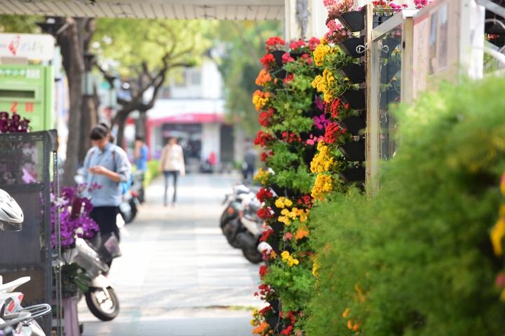 D700 vs D750 (3)-戶外花草篇