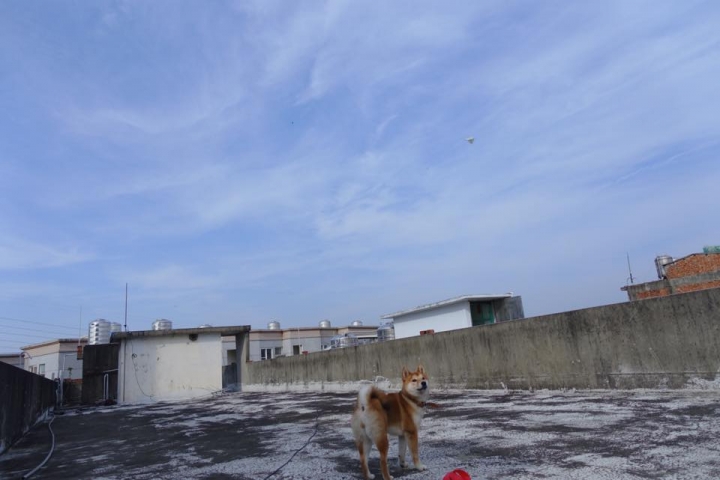 sony rx100m3 試機照