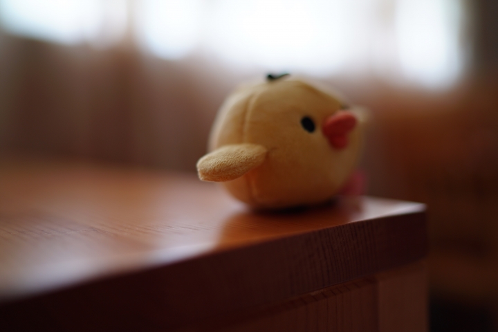 FE35mm F1.4ZA  開箱蓋高樓