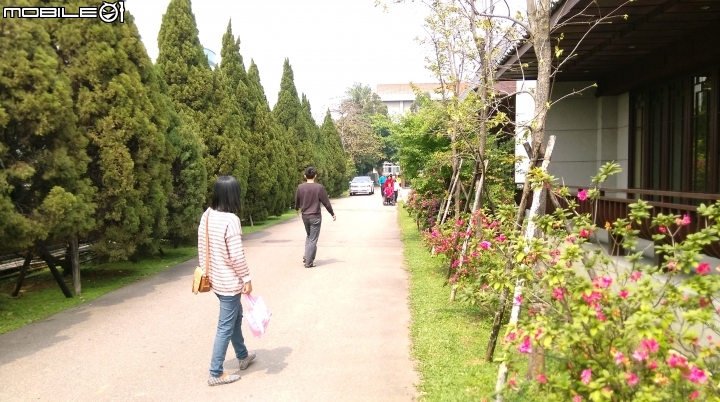 桃園南僑點水樓散步遊