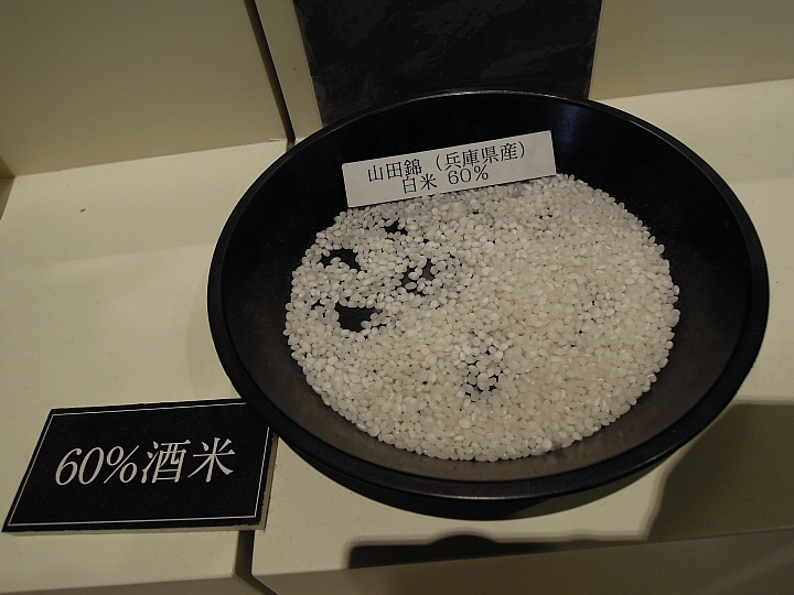 中了清酒的毒！馬上出發 菊正宗酒造 之旅！
