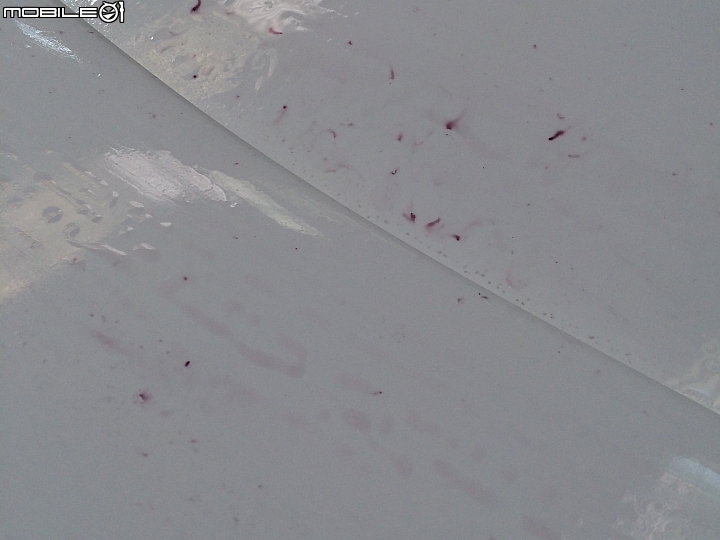 自己的車子自己鍍膜DIY鍍膜心得分享