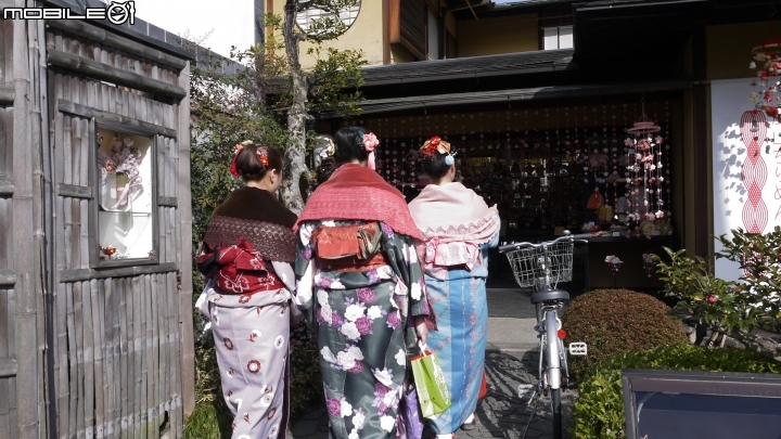 (京都)嵐山竹林小徑.天龍寺散步遊