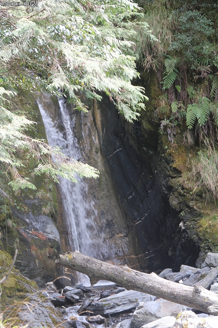 2015.03.14-屏風山(麻辣天王)天氣優(開啟2015封印)