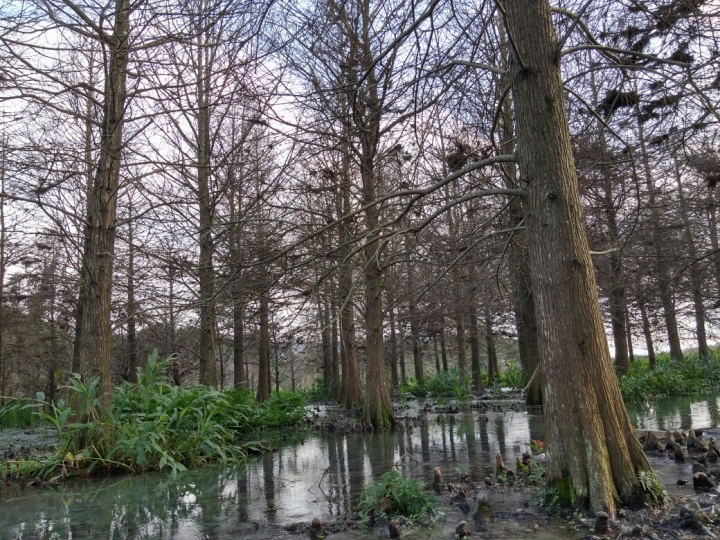 雲山水