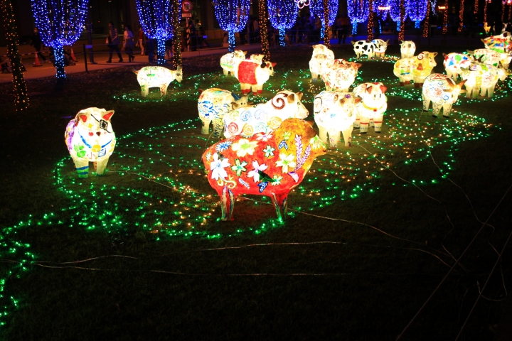 500D+EF-S24  F2.8 .......的燈會