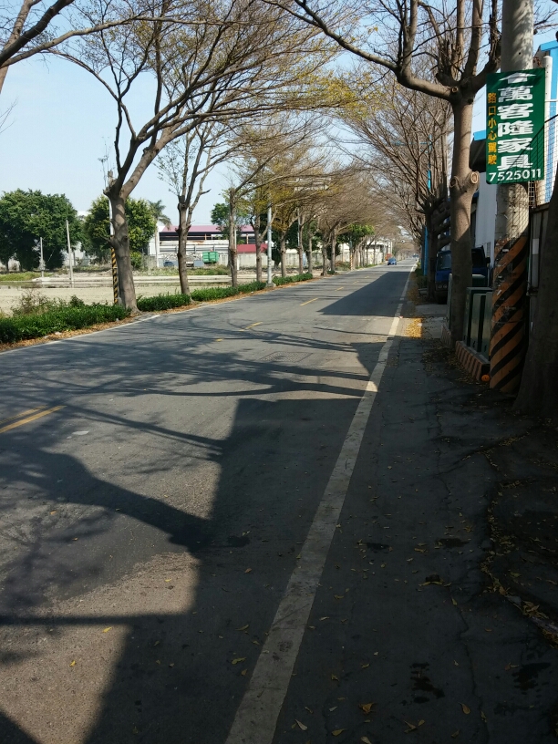 隨便亂騎加上探路