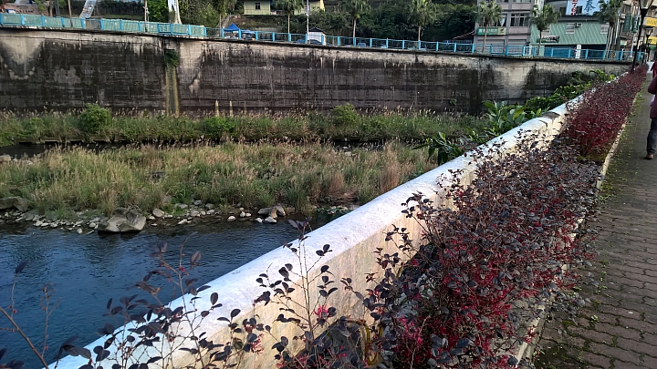 Lumia 930 with Lumia Camera 5 坪林半日遊