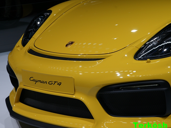 2015年 日內瓦車展 Porsche 篇