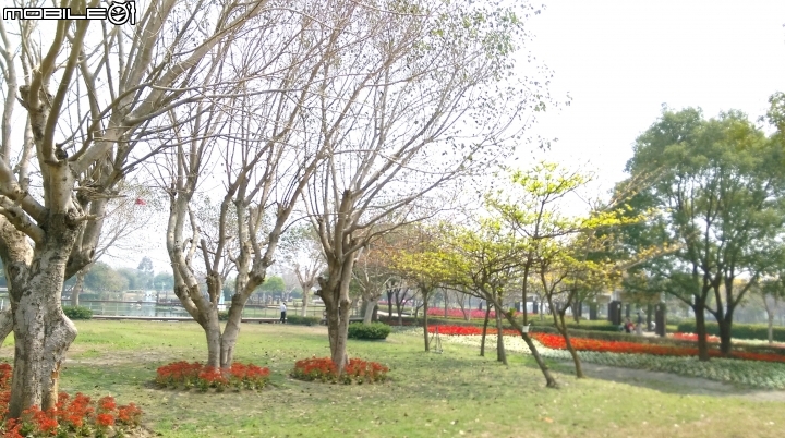 彰化溪州(費茲洛)花園散步遊