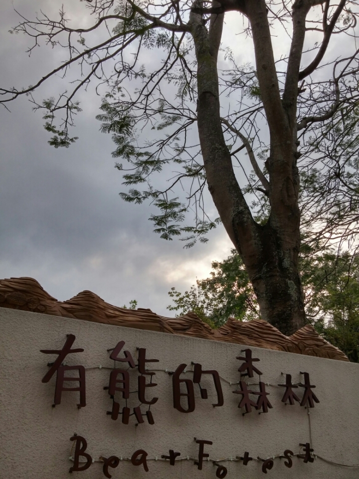 雲山水
