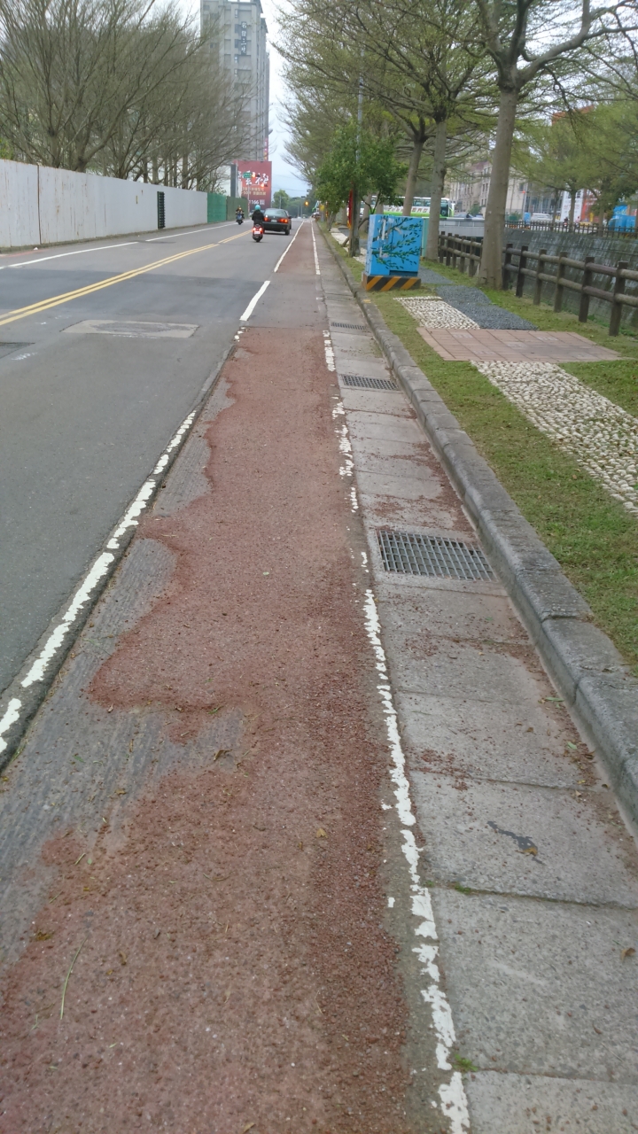 竹北豆子埔溪(自強北路至莊敬北路段)腳踏車道工程
