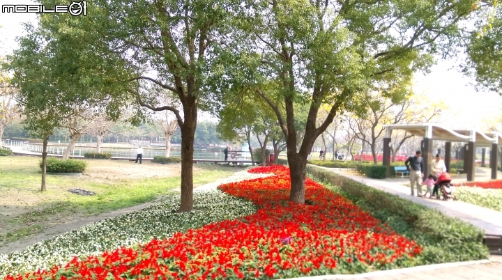 彰化溪州(費茲洛)花園散步遊