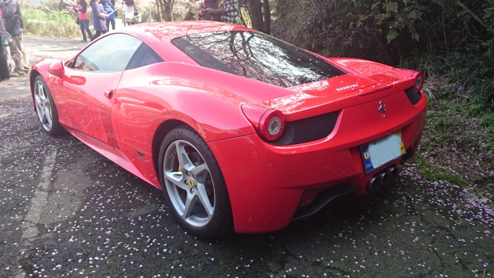 陽明山巧遇458