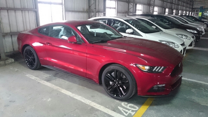 2015 Ford Mustang 預開箱
