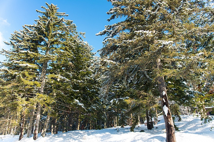 北海道印象