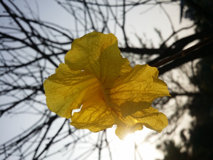 新手求相機推薦，拍照以景色為主