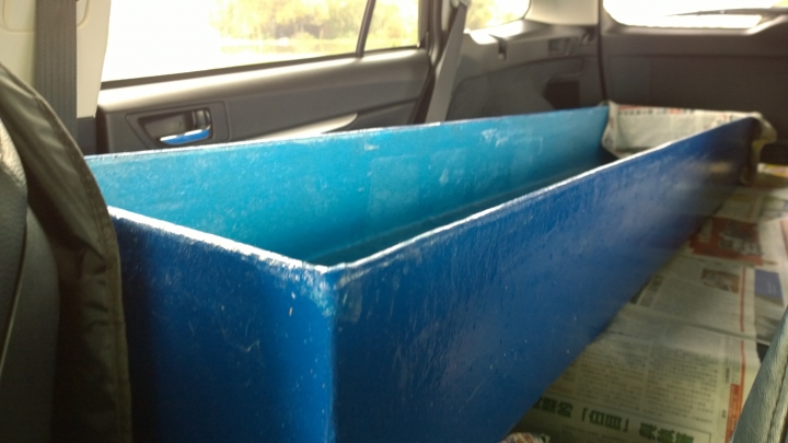 出去回來靠這台 , 2013 OUTBACK 簡易開箱