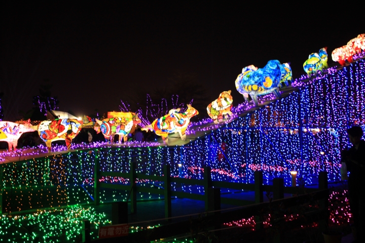 500D+EF-S24  F2.8 .......的燈會