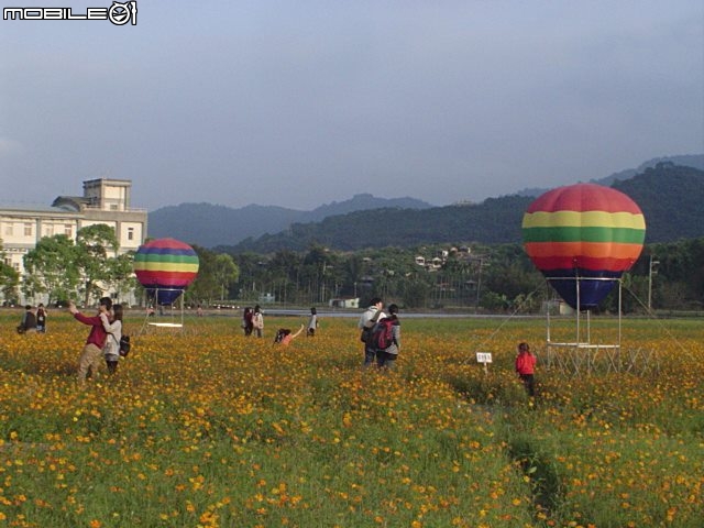 小折板橋北橫到羅東