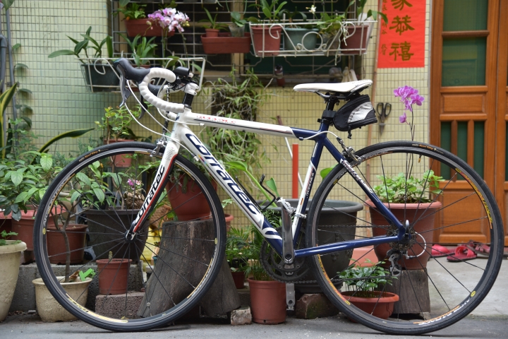 幫忙鑑定