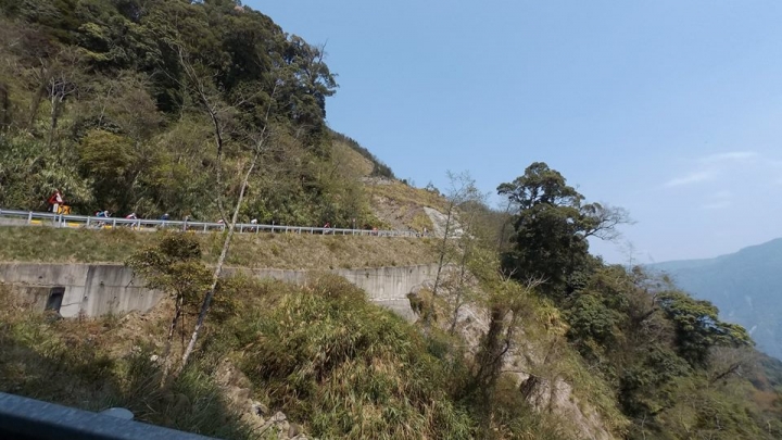 我的Birdy爬坡之路---前進塔塔加之探索新中橫，71公里長緩坡