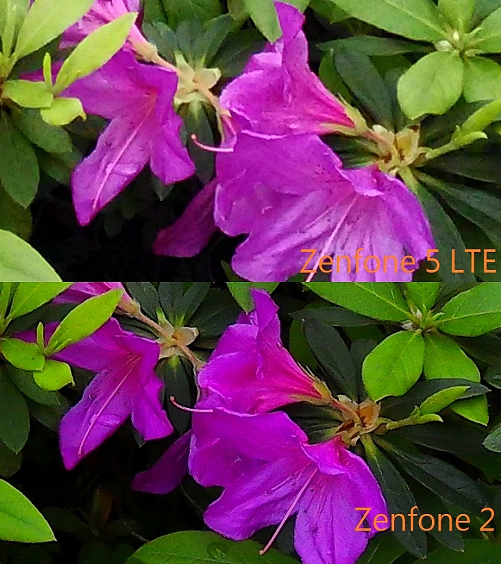 Zenfone 2 ZF5 LTE戶外對決Round2