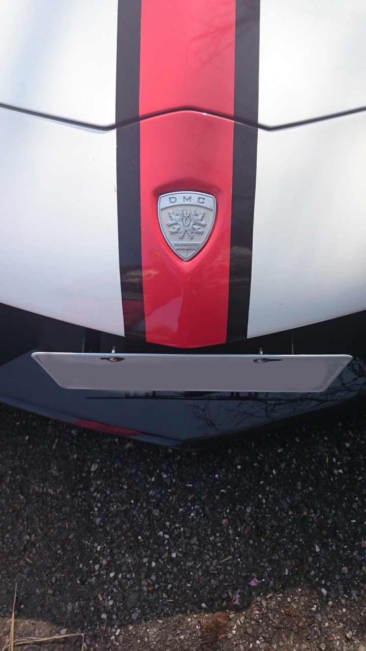 陽明山看到兩台AVENTADOR