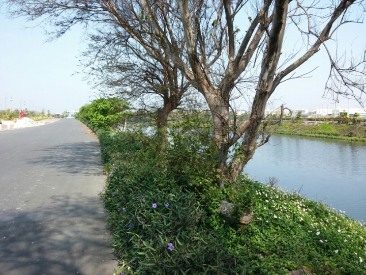 隨便亂騎加上探路