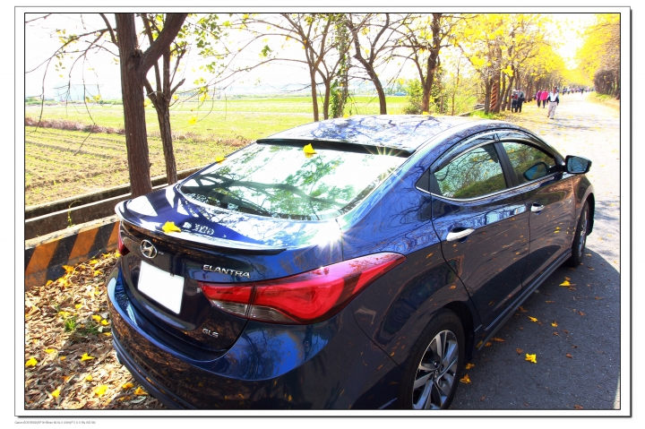 賞車 小E
