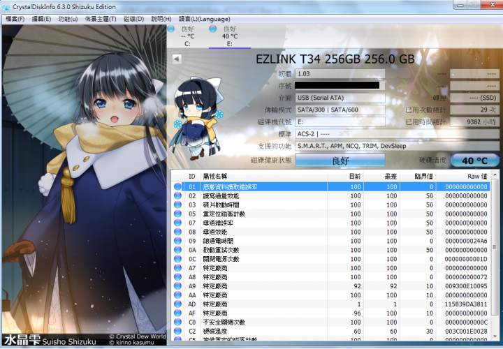 Ezlink T-34 256GB 壽命測試 (2015/3/22更新)~終點。
