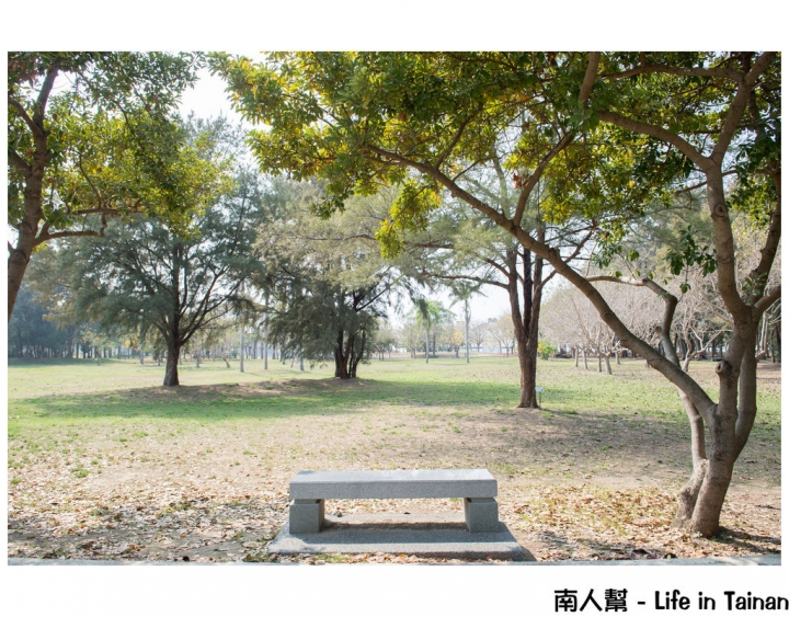 【台南市安平區-公園】億載公園裡花開了# 黃風鈴木.扶桑花.苦楝樹 #
