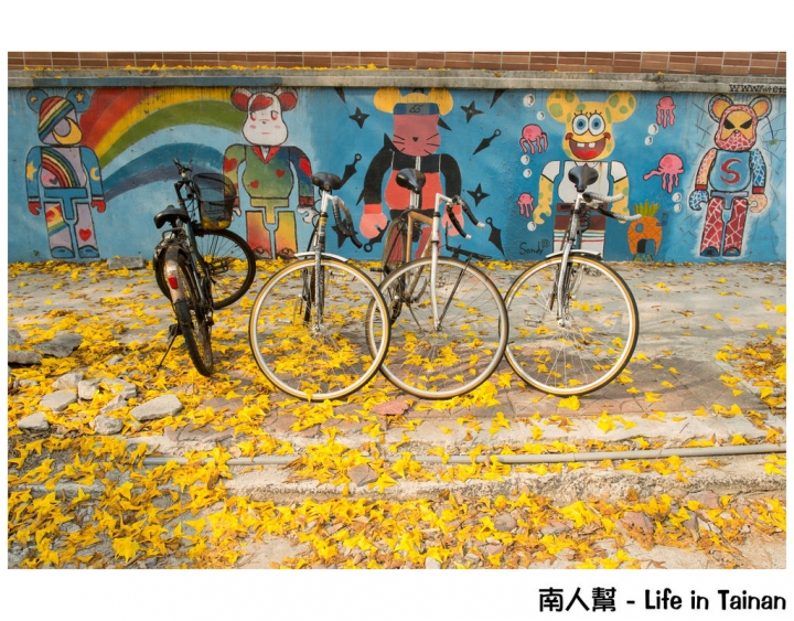 【台南市中西區-花木】南寧街上的# 黃風鈴木 #
